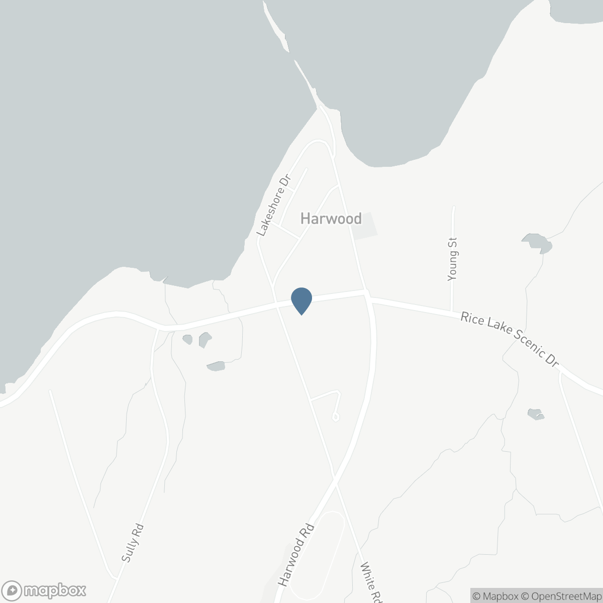 6099 RICE LAKE SCENIC DRIVE, Harwood, Ontario K0K 2H0
